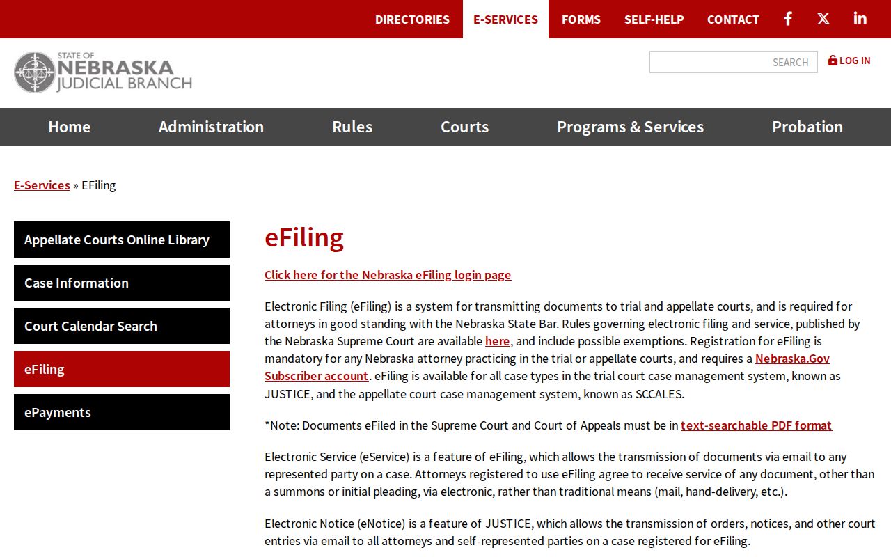 Douglas County case lookup Nebraska eFiling information